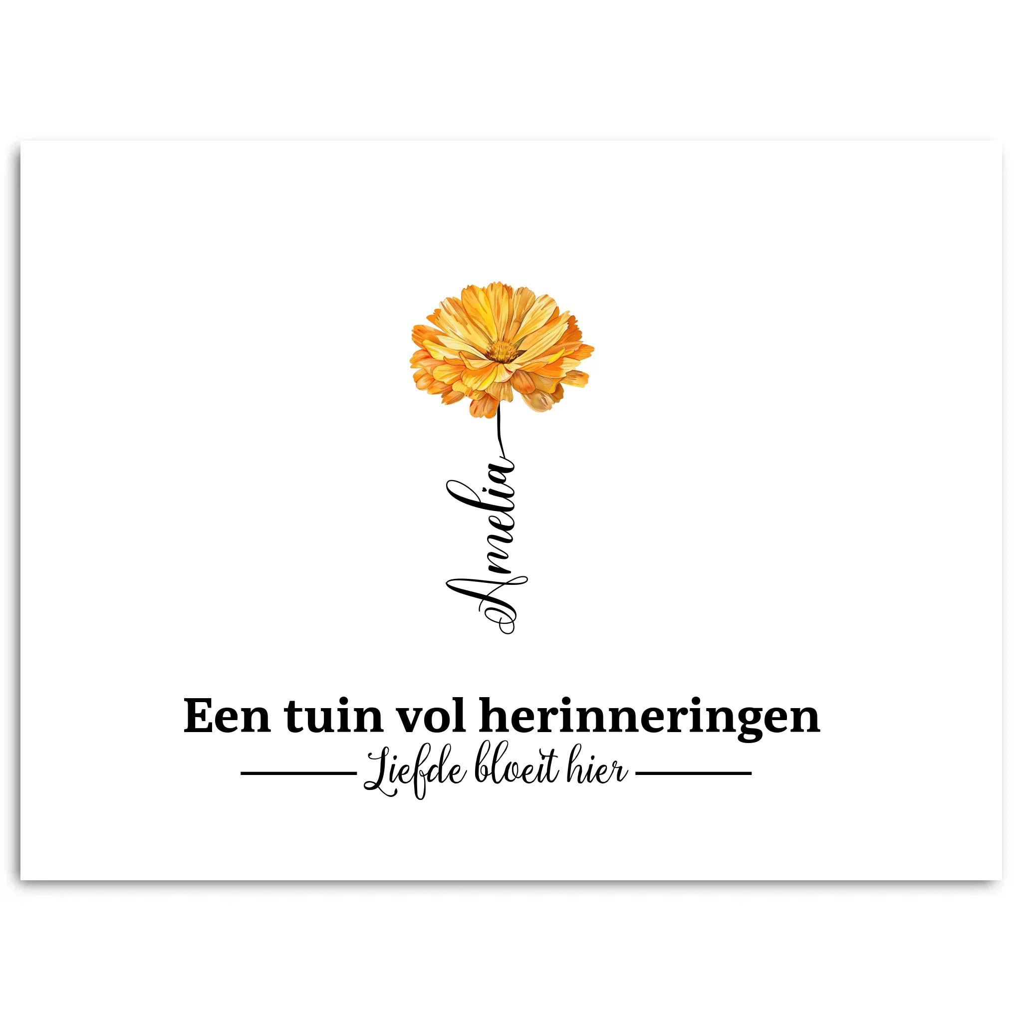 Simple Mockup - 3040