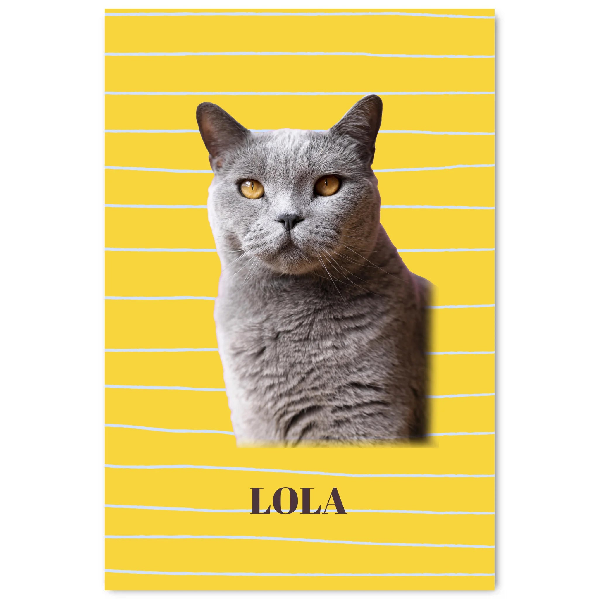 Simple Mockup - 2030-4060