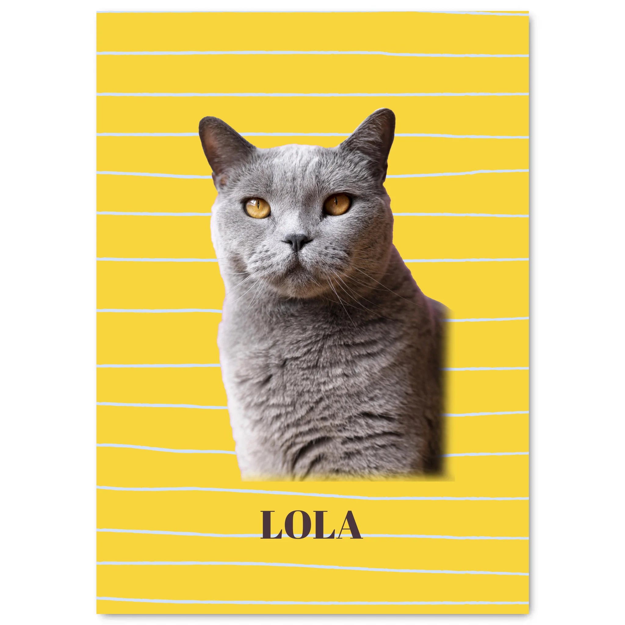 Simple Mockup - 5070