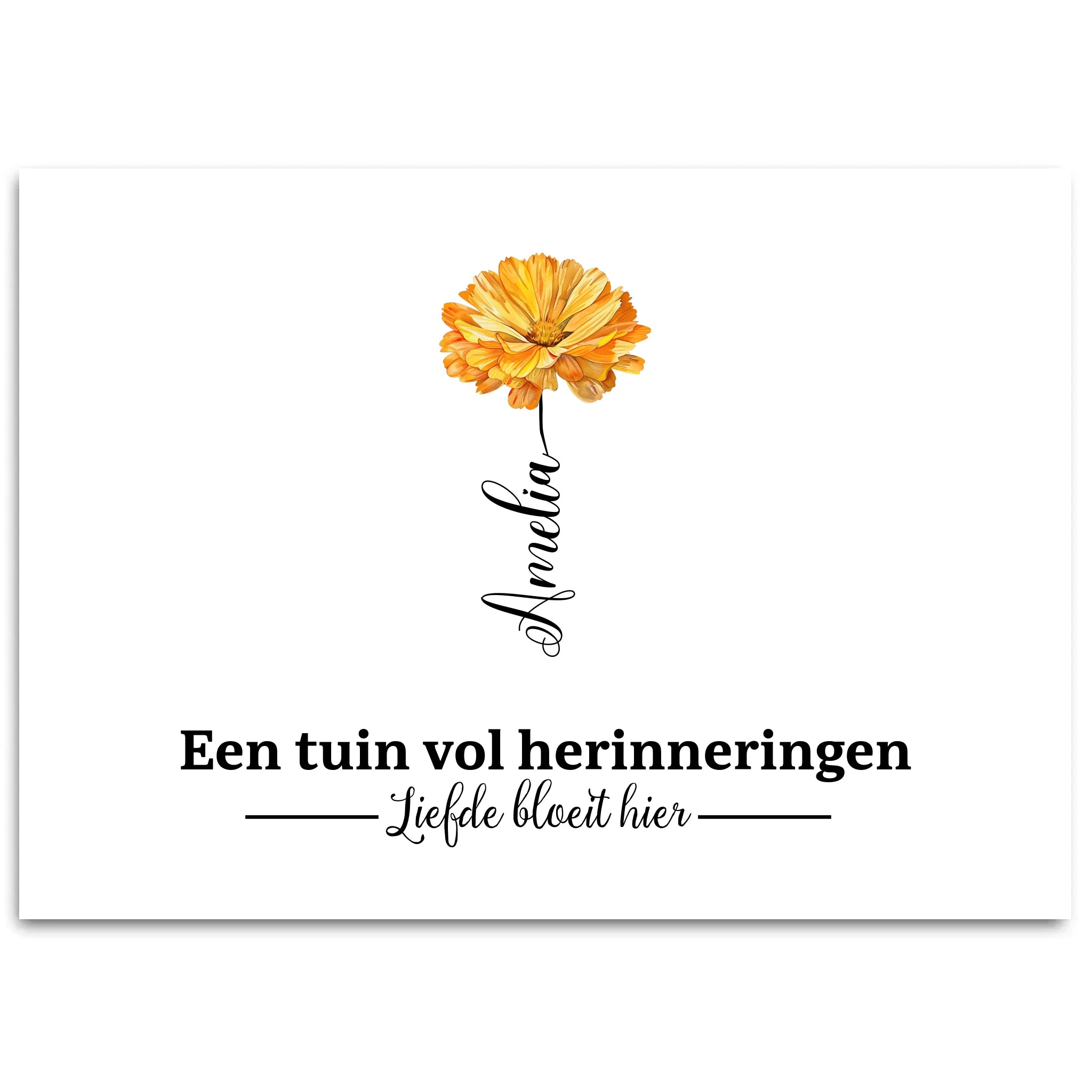 Simple Mockup - 5070