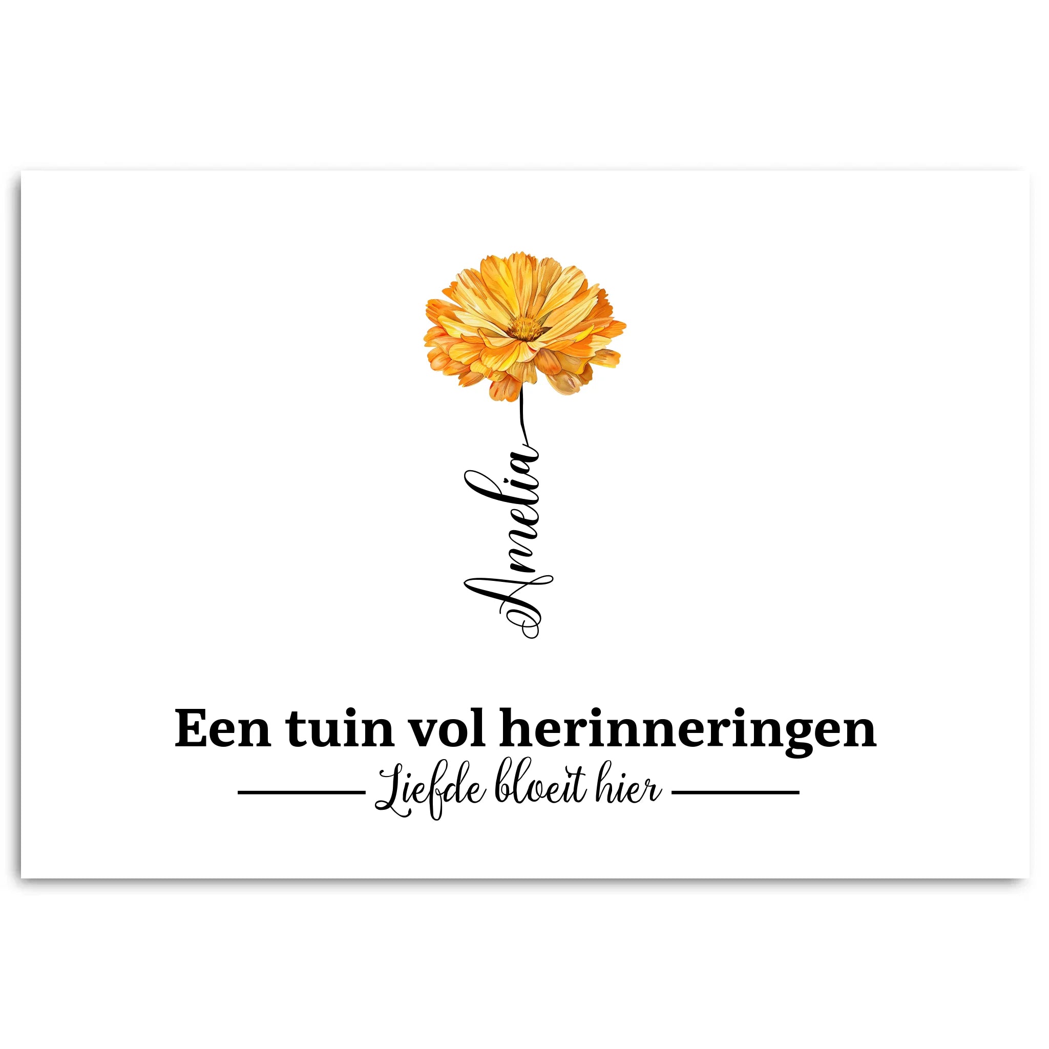 Simple Mockup - 70100