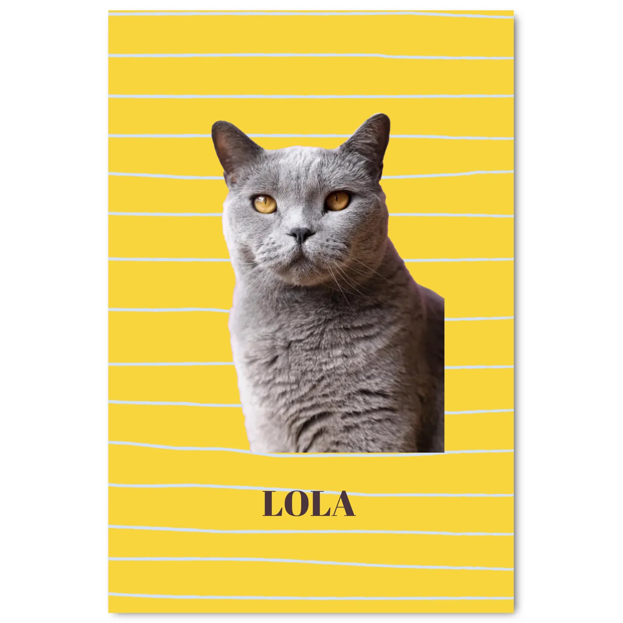 Modern Huisdier Poster Foto