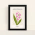 Mockup-Framed-Black-2030